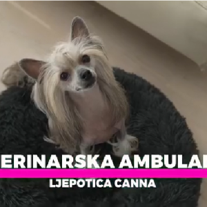 Ljubav i osmjesi mlade obitelji i CC Topića