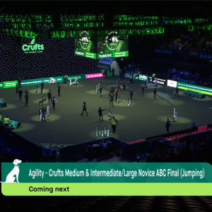 Livestream CRUFTS 2025 Birmingham, UK
