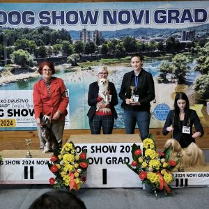 DOG SHOW NOVI GRAD
