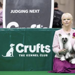 Crufts 07.03.2025. UK, Birmingham