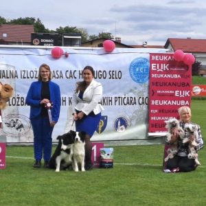 Dog Show – CAC Dugo Selo