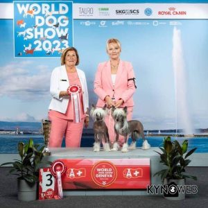 WORLD DOG SHOW GENEVA, SWITZERLAND 27.08.2023.